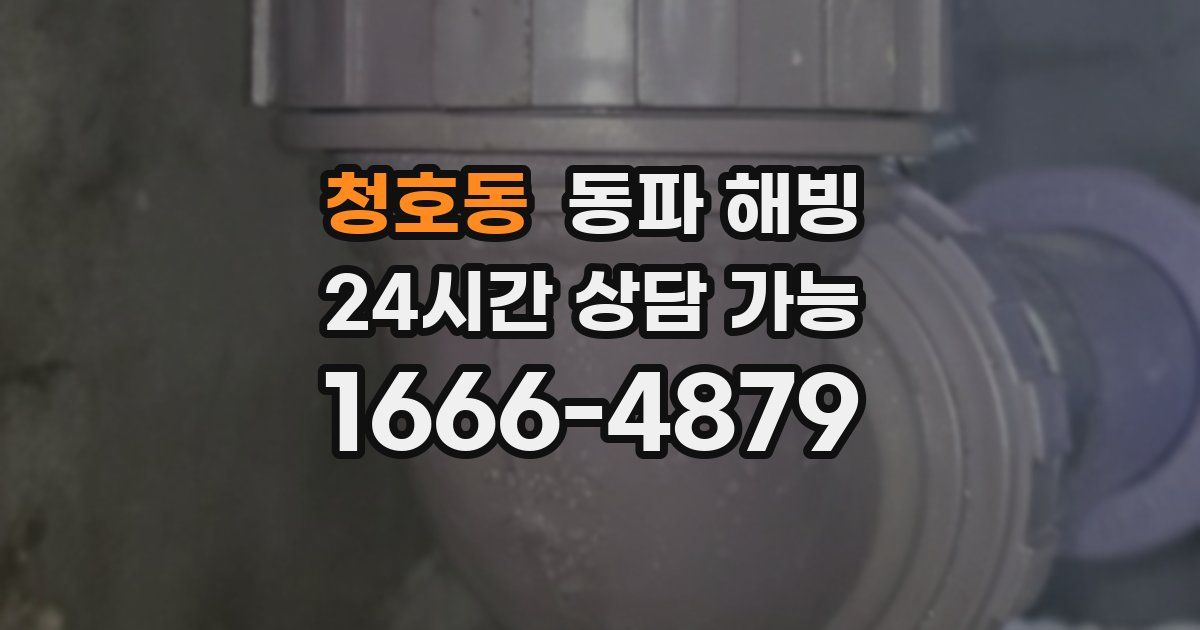 청호동 동파 해빙