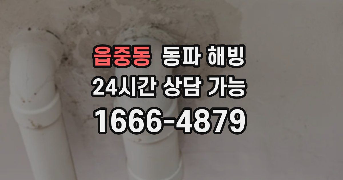 읍중동 동파 해빙