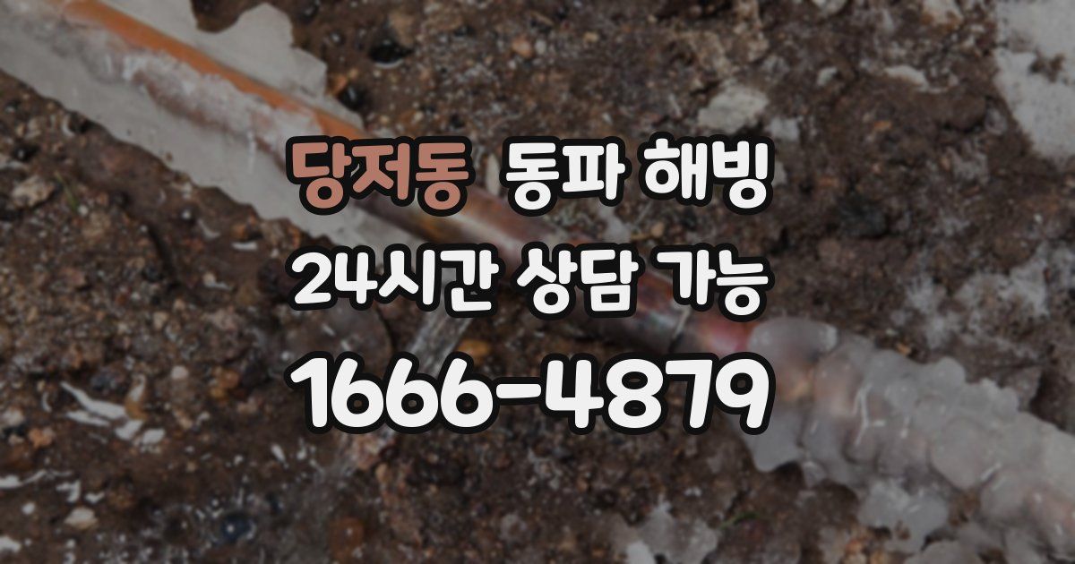 당저동 동파 해빙