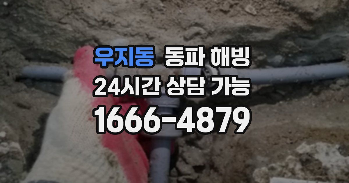 우지동 동파 해빙