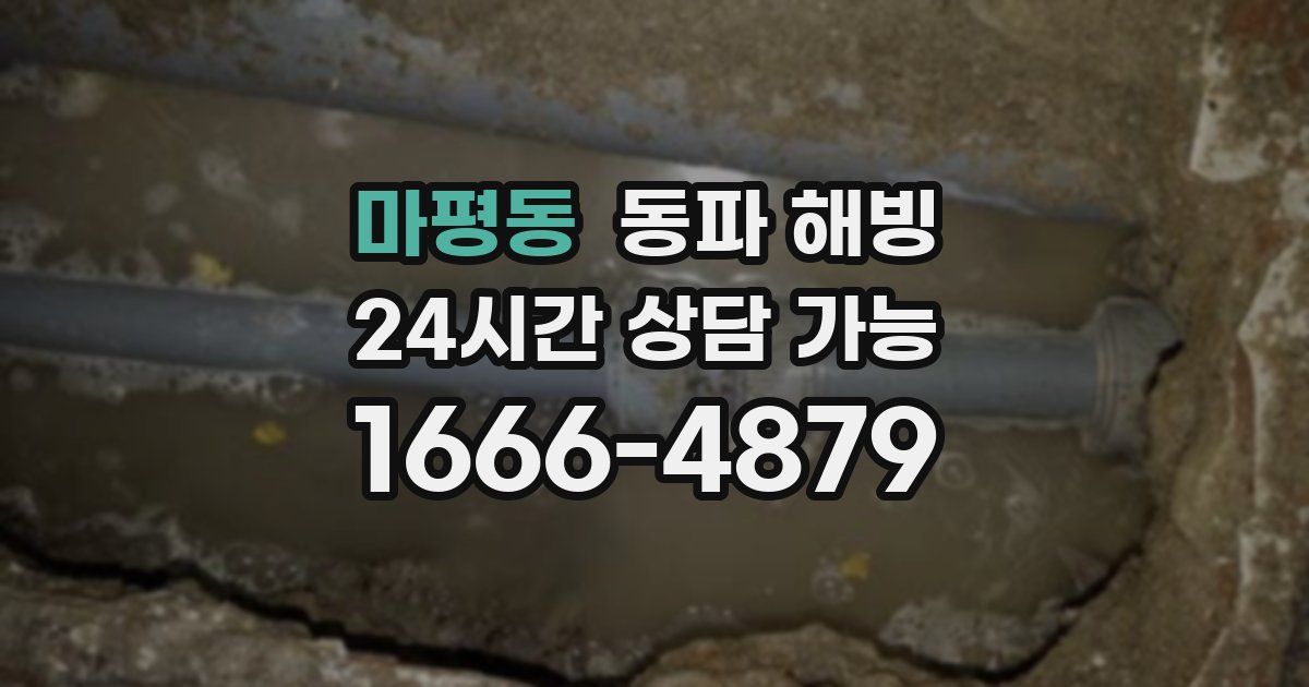 마평동 동파 해빙