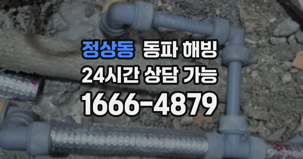 정상동 동파 해빙