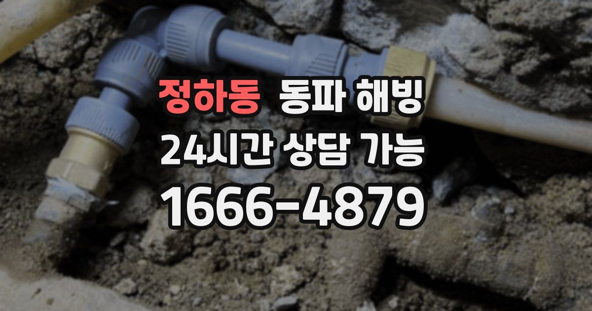 정하동 동파 해빙