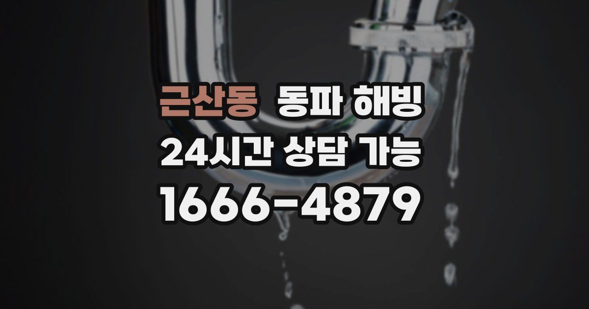 근산동 동파 해빙