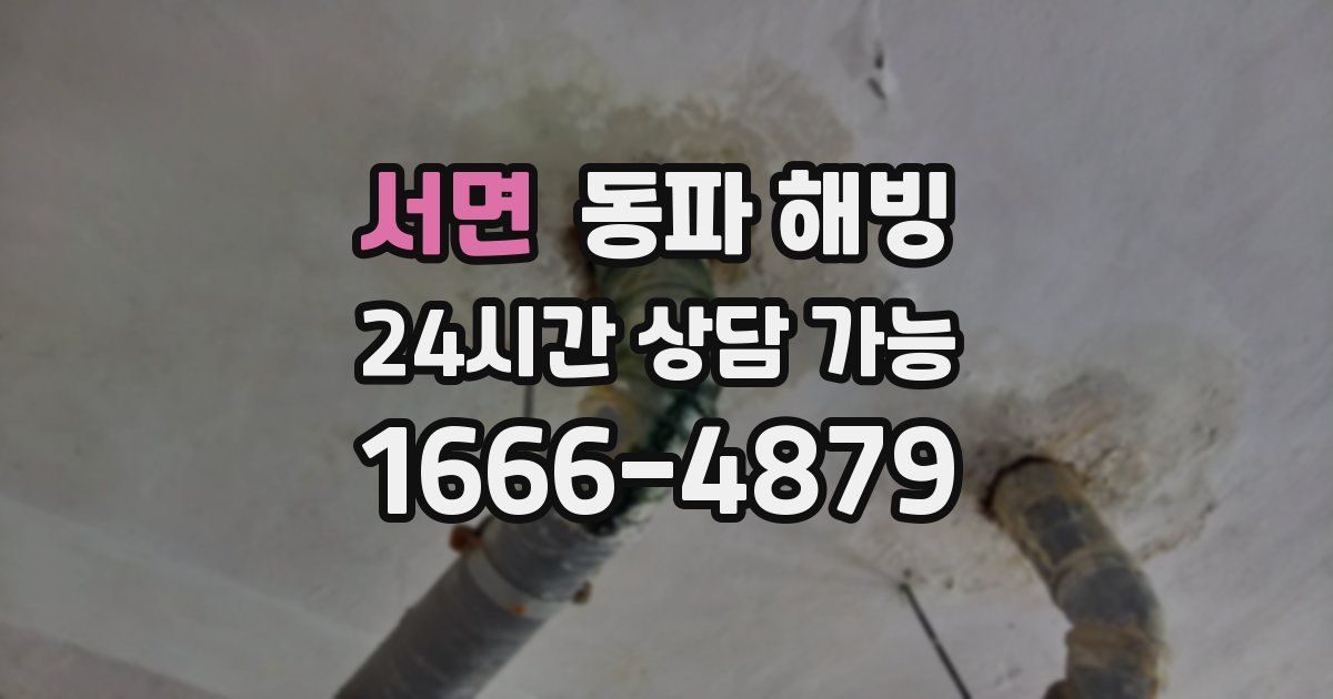 서면 동파 해빙