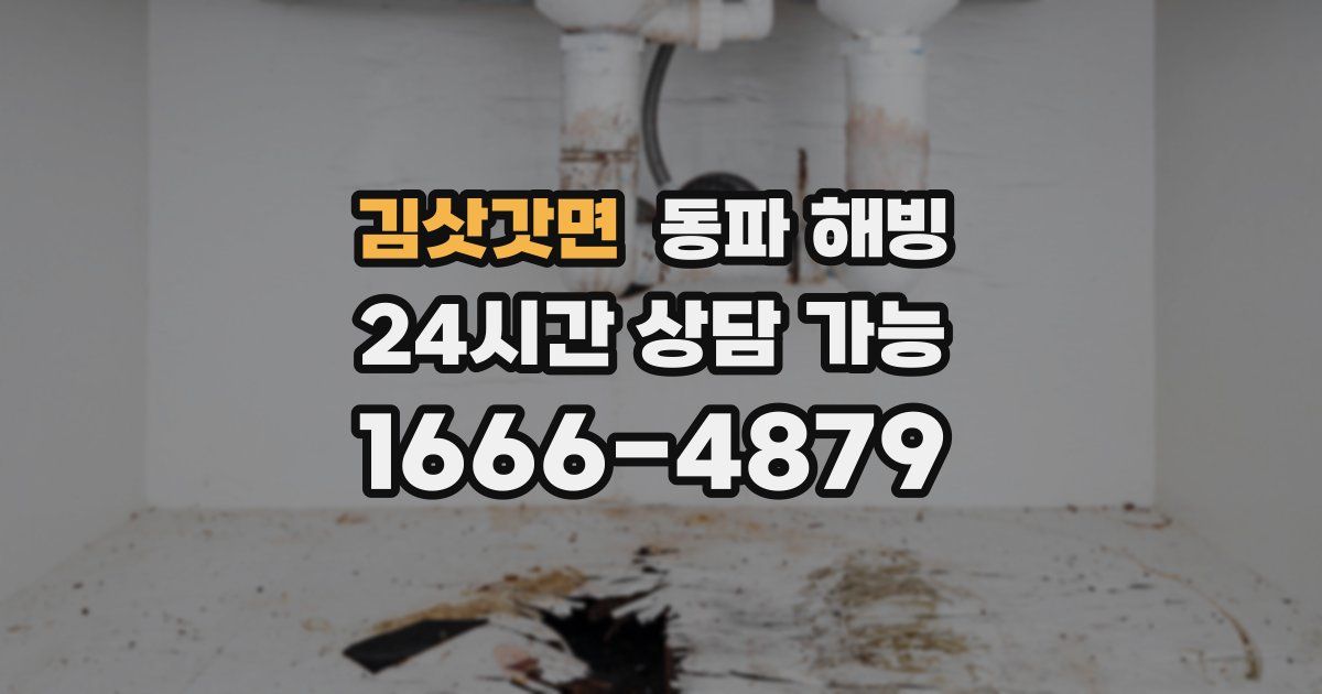 김삿갓면 동파 해빙