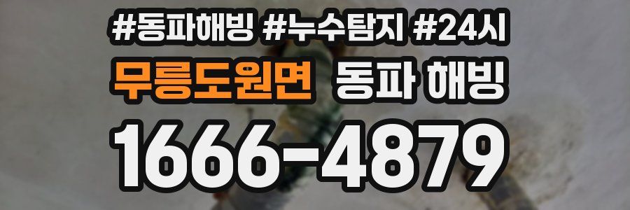 무릉도원면 동파