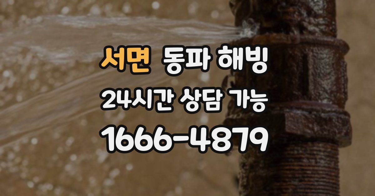 서면 동파 해빙