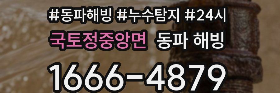 국토정중앙면 동파