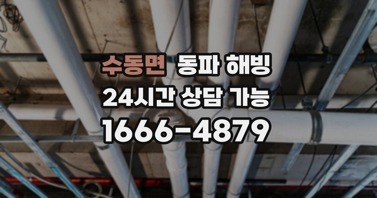 수동면 동파 해빙