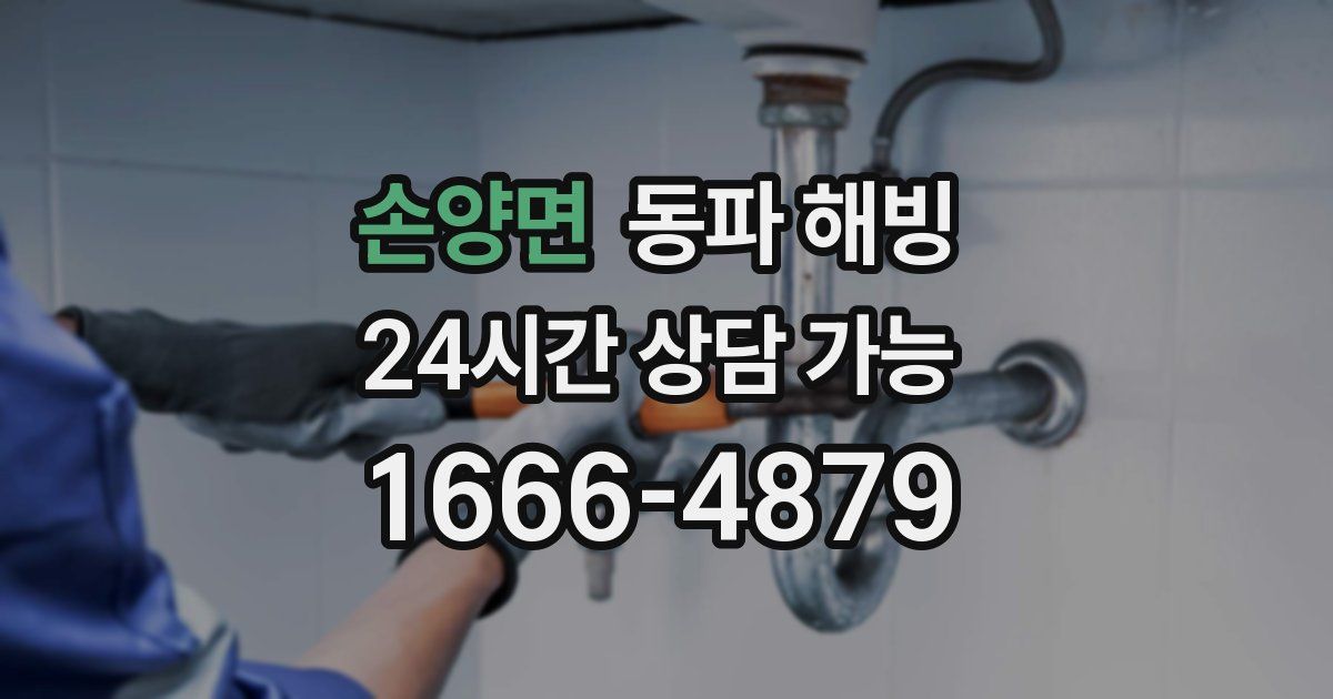 손양면 동파 해빙