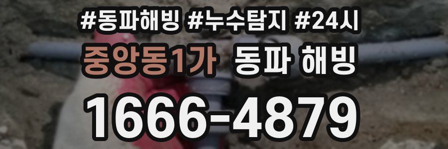 중앙동1가 동파