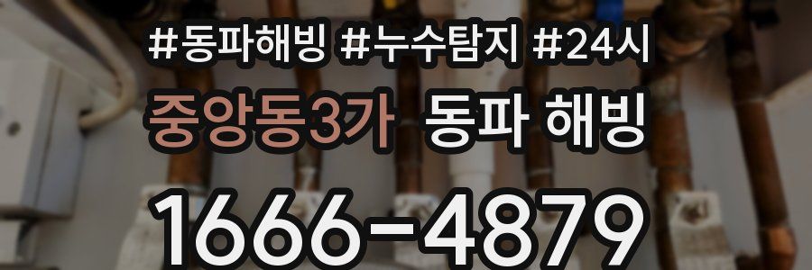 중앙동3가 동파
