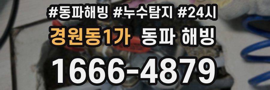 경원동1가 동파