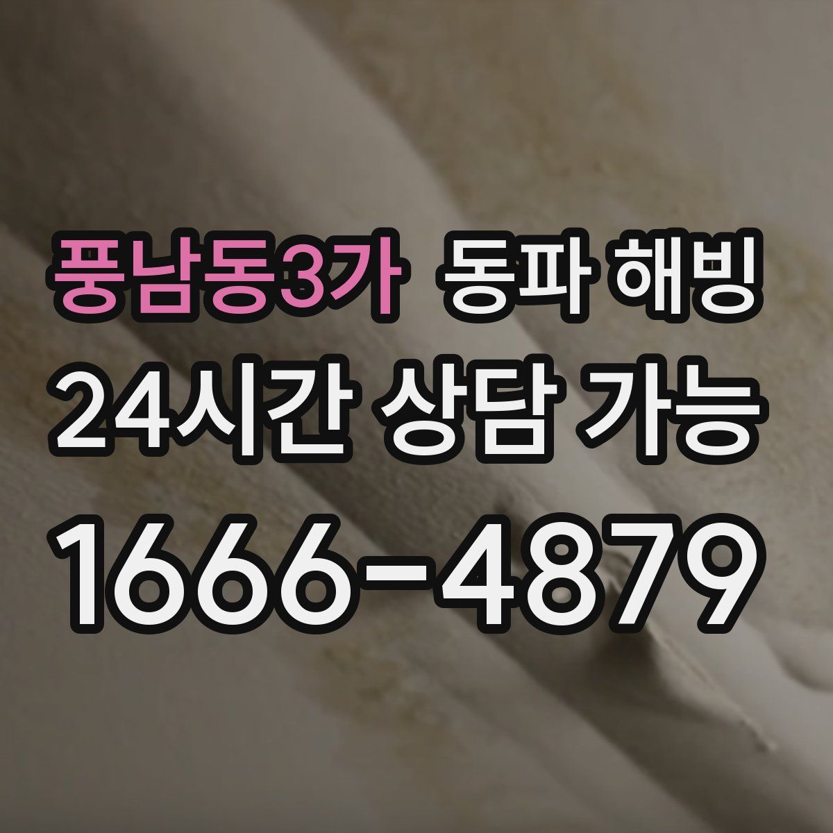 풍남동3가 해빙