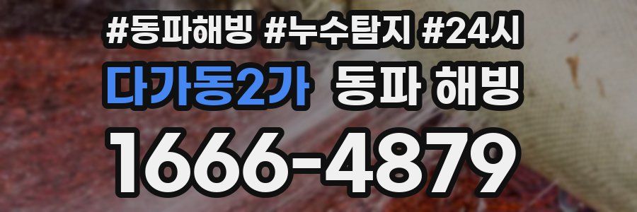 다가동2가 동파