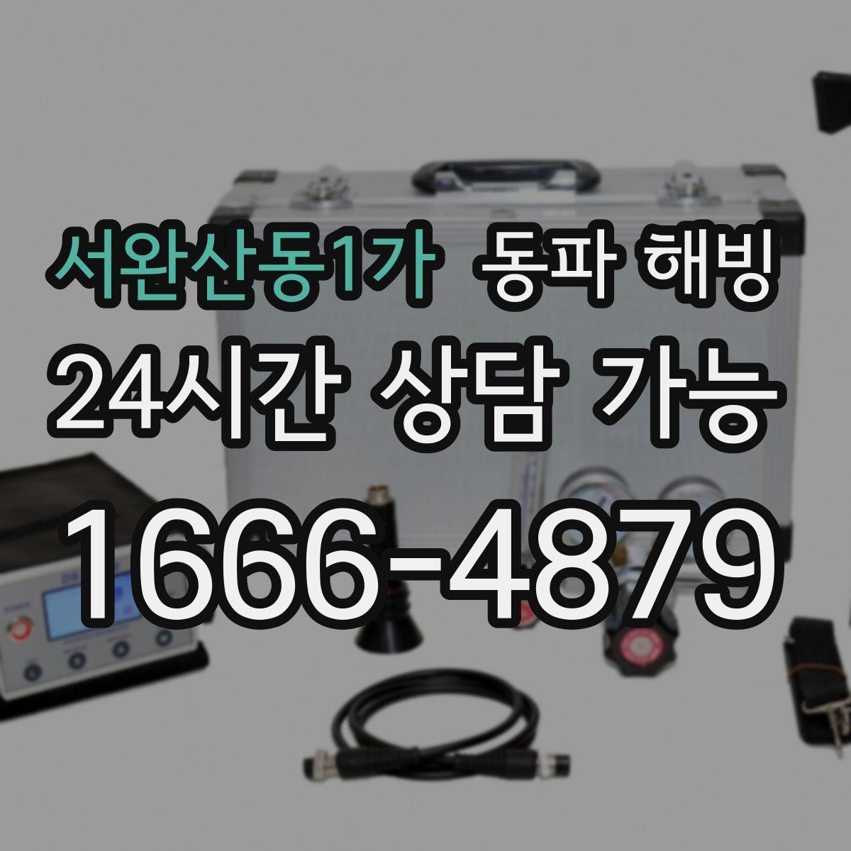 서완산동1가 해빙