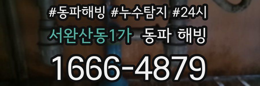 서완산동1가 동파