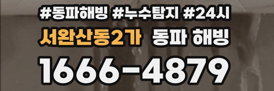 서완산동2가 동파