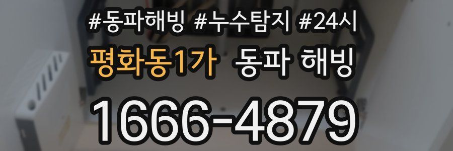 평화동1가 동파