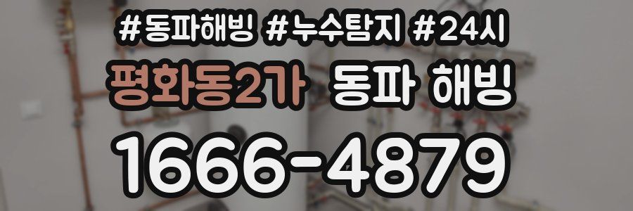 평화동2가 동파