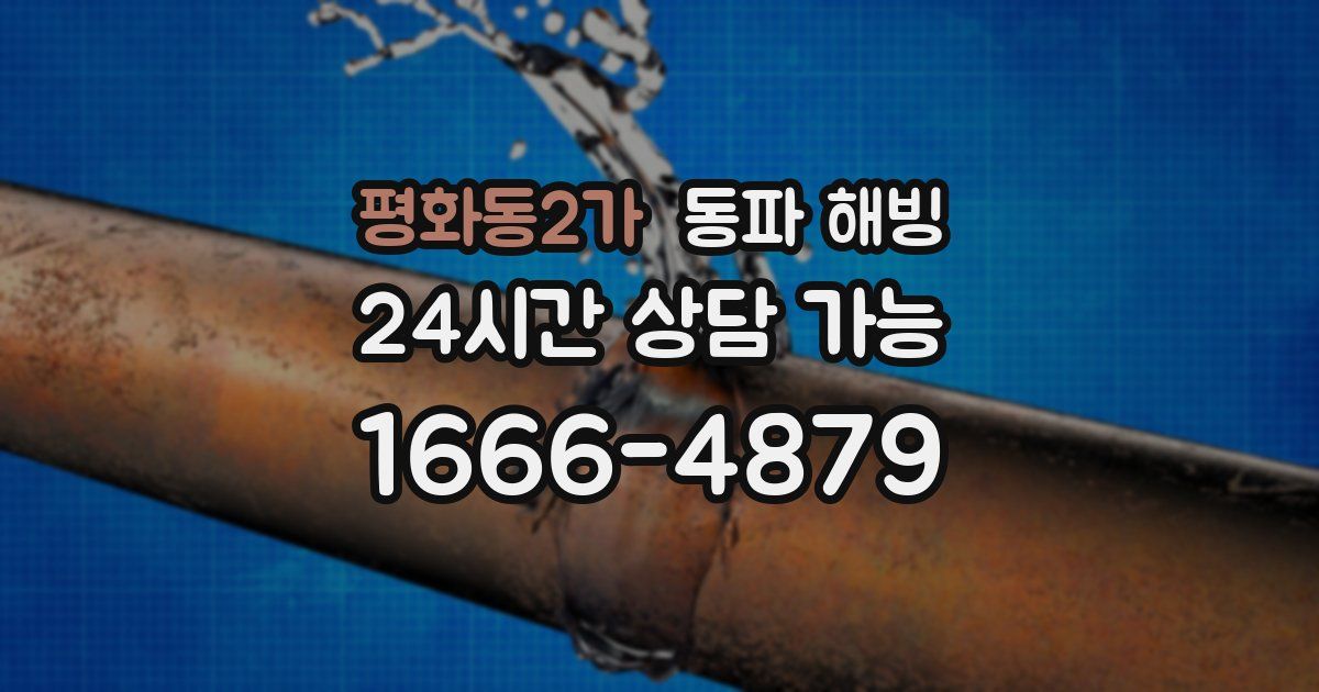 평화동2가 동파 해빙