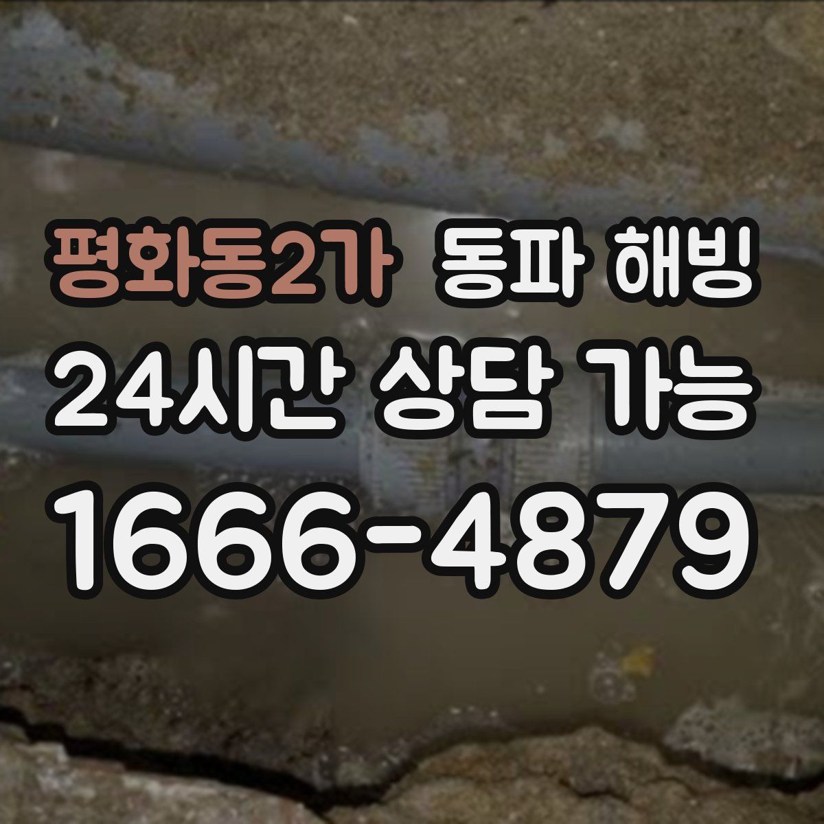 평화동2가 해빙