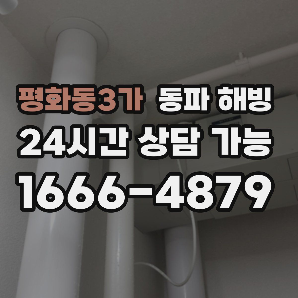 평화동3가 해빙