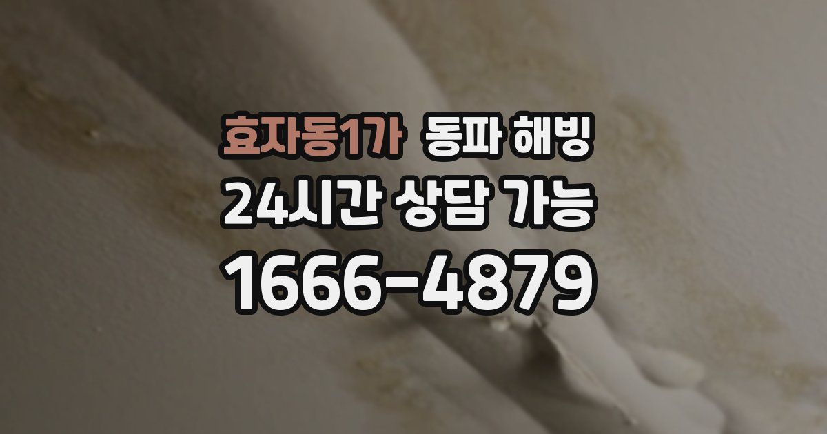 효자동1가 동파 해빙