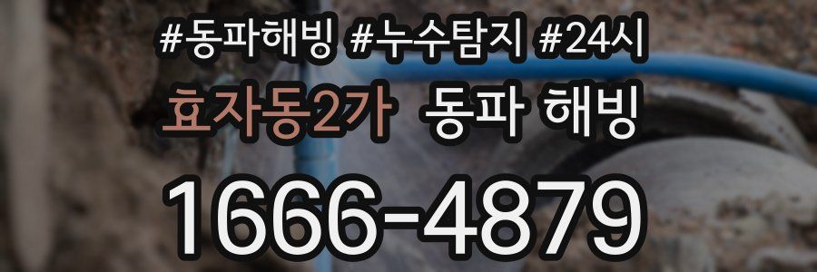 효자동2가 동파