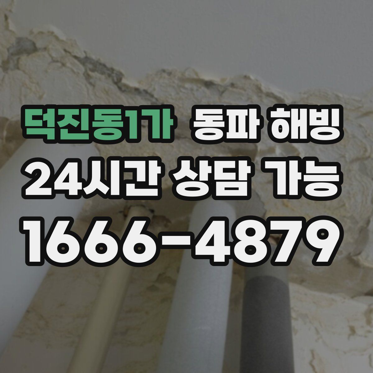 덕진동1가 해빙