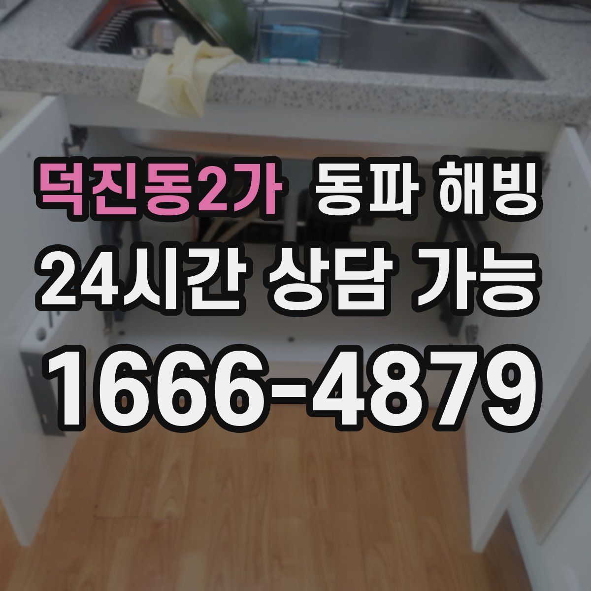 덕진동2가 해빙