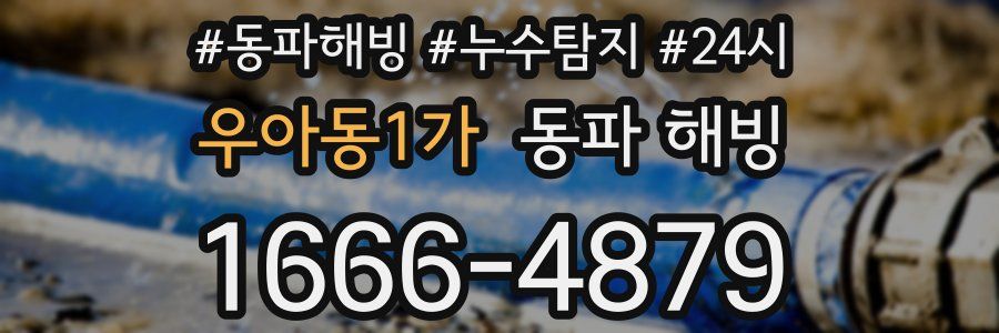 우아동1가 동파