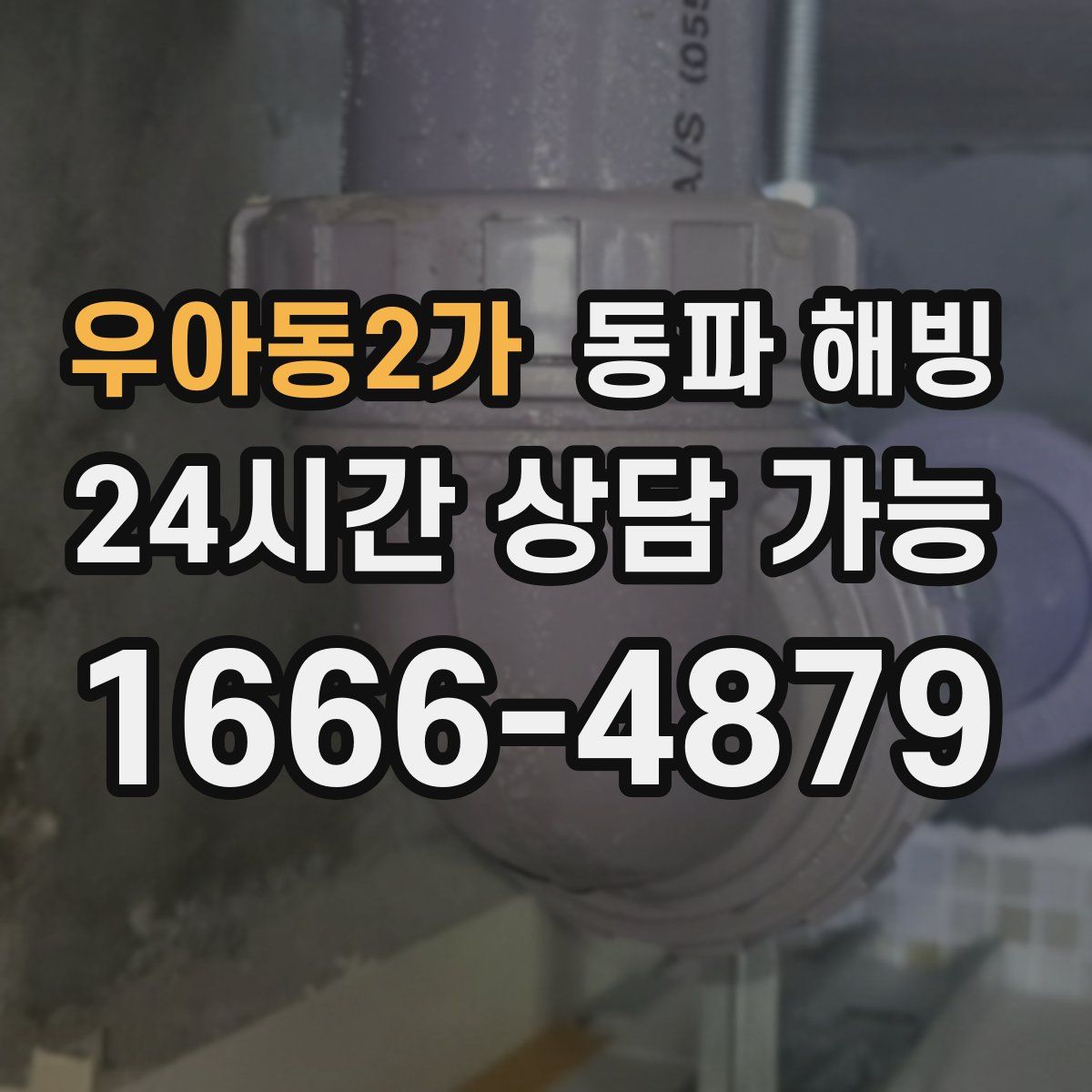 우아동2가 해빙