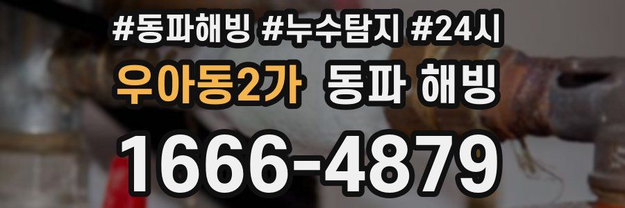 우아동2가 동파