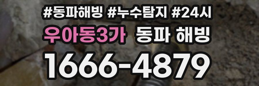 우아동3가 동파