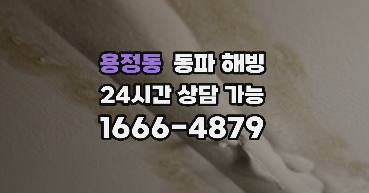 용정동 동파 해빙