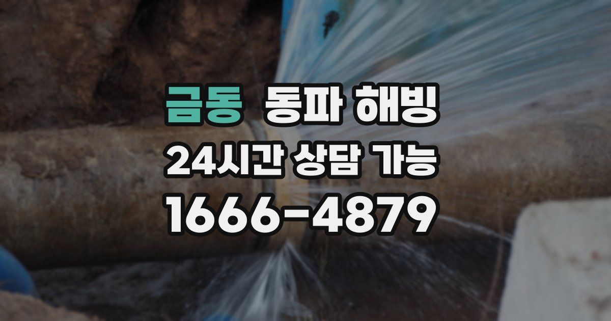 금동 동파 해빙