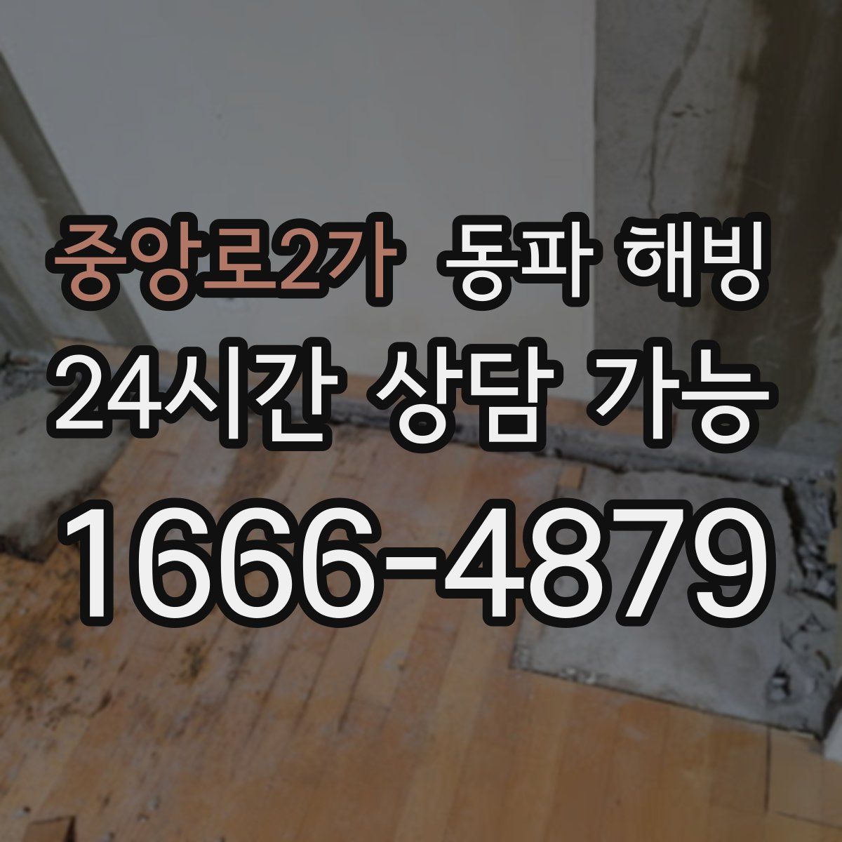 중앙로2가 해빙