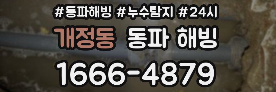 개정동 동파