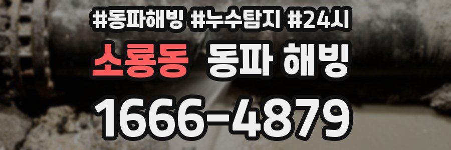 소룡동 동파