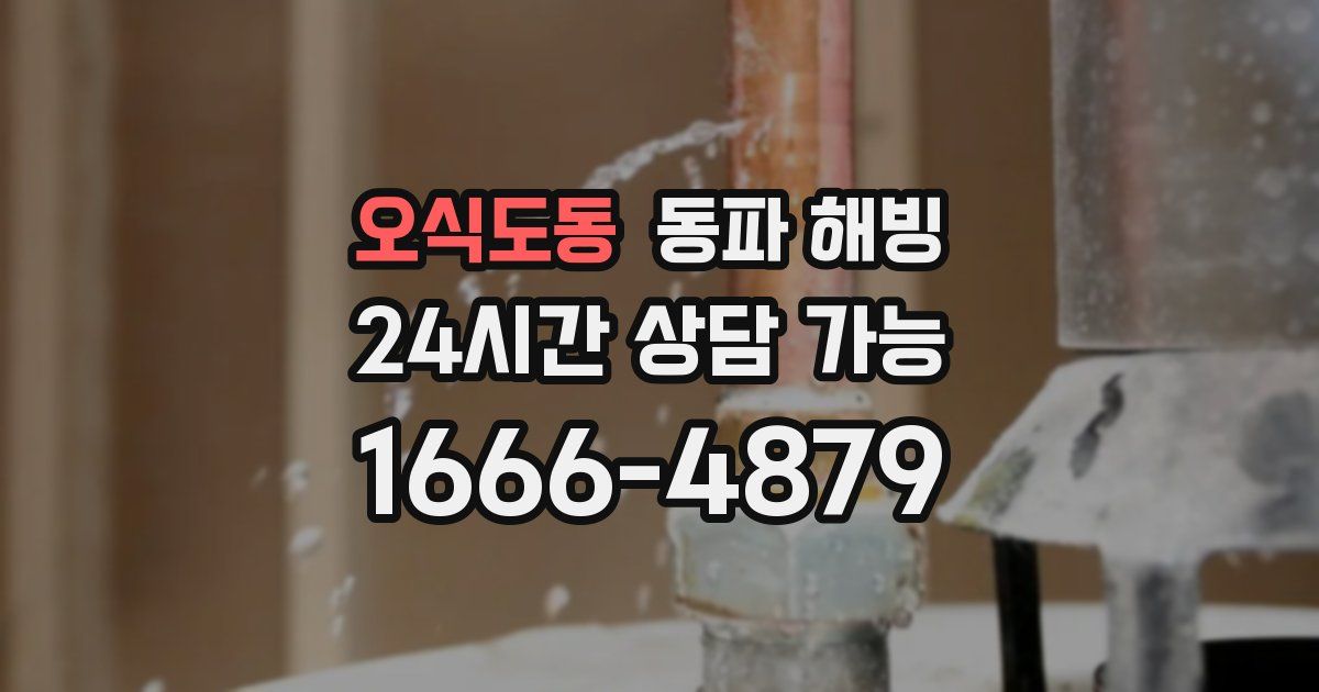 오식도동 동파 해빙