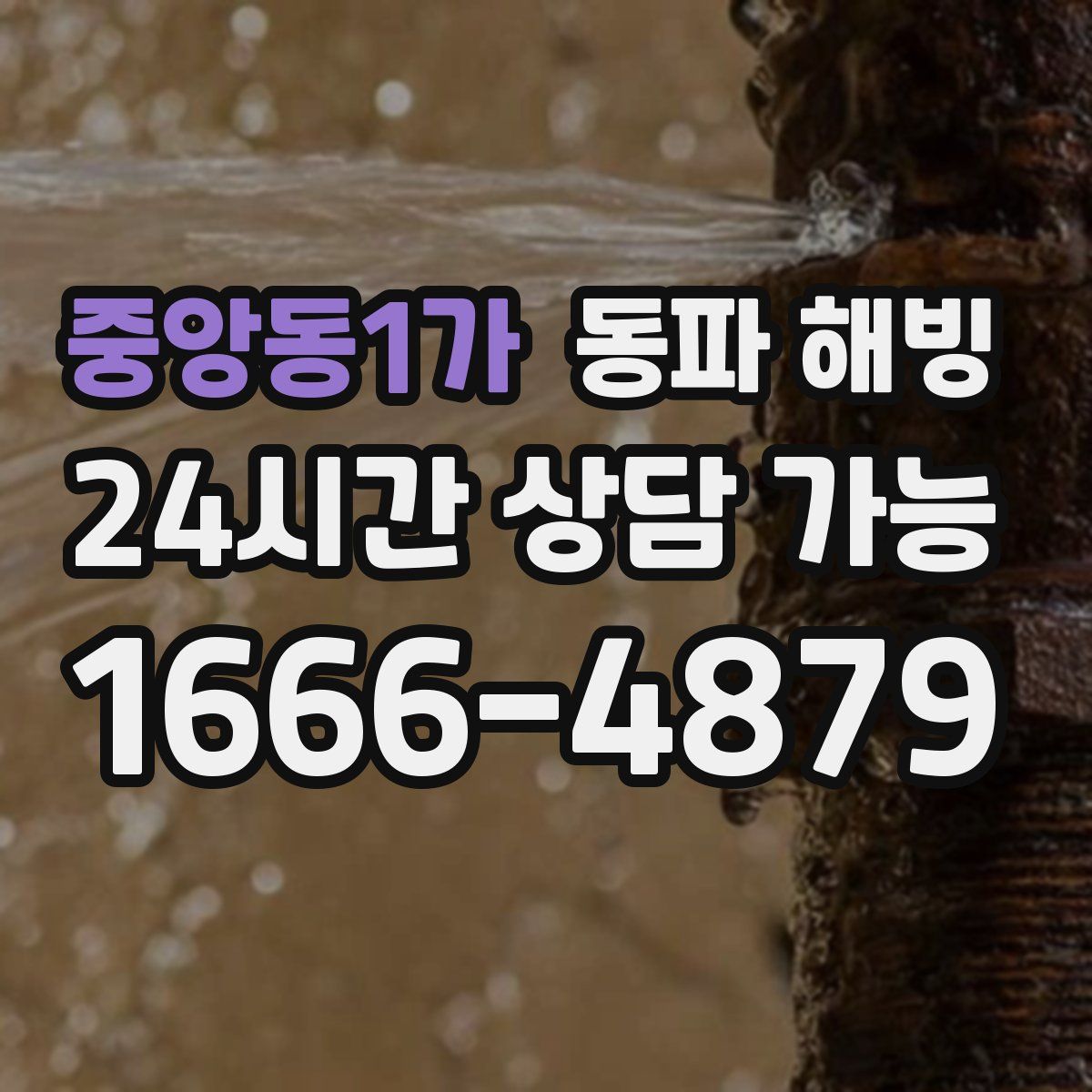 중앙동1가 해빙