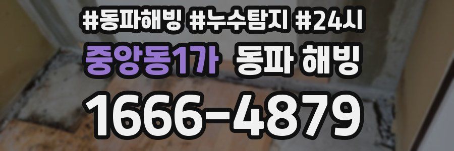 중앙동1가 동파