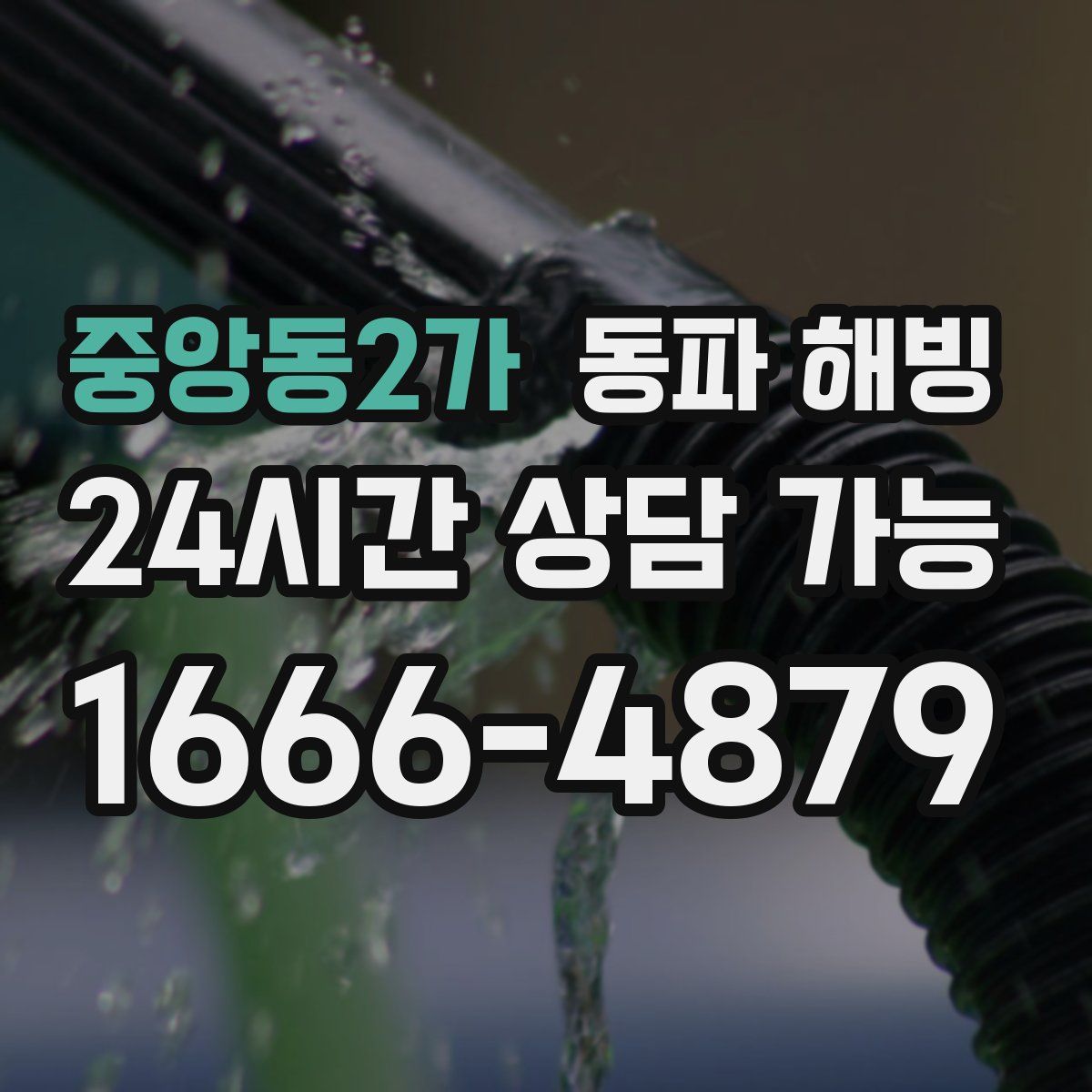 중앙동2가 해빙