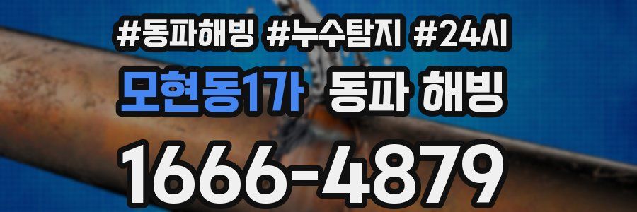 모현동1가 동파