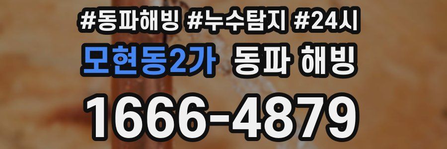 모현동2가 동파