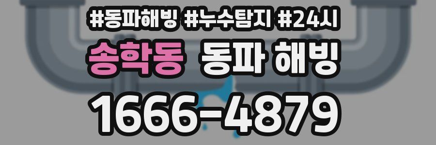 송학동 동파