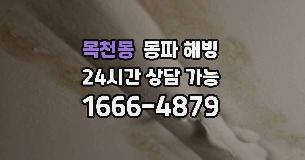 목천동 동파 해빙