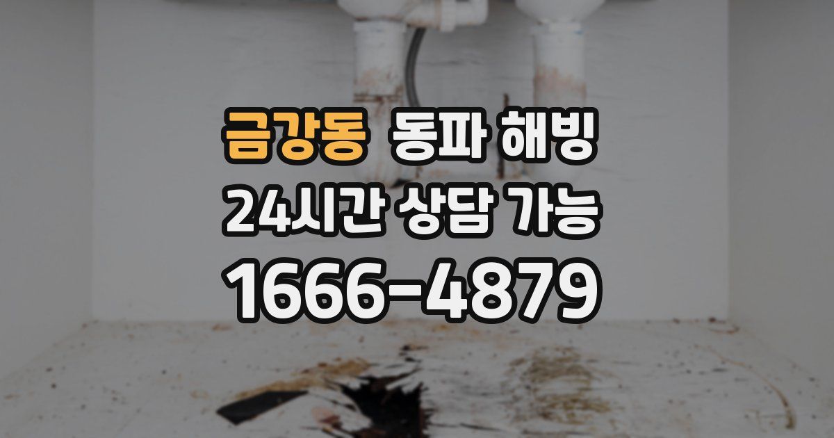 금강동 동파 해빙